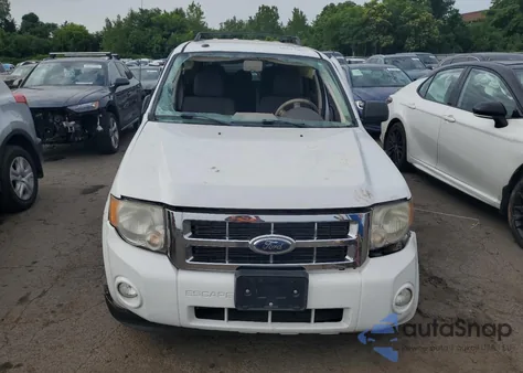 2009 Ford Escape Xlt z USA, uszkodzony, nr VIN 1FMCU93769KB21353
